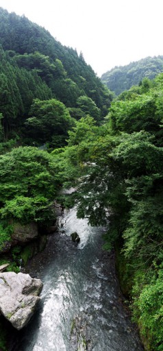 橋から見渡した沢　反対側