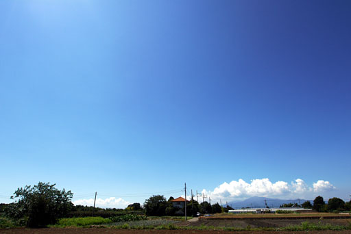 お天気