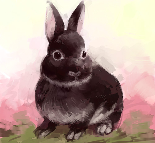 ミニウサギのような