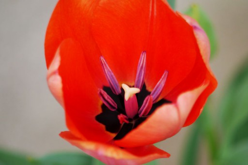 20130330_04