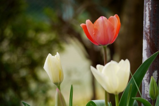 20130330_06