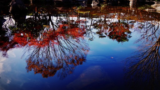 大磯城山公園の湖面