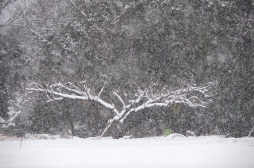 20140208_暴風雪