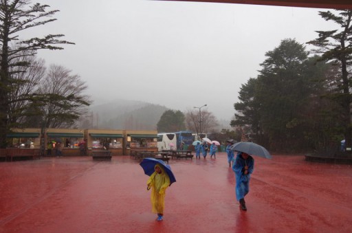 暴風雨の富士サファリパーク