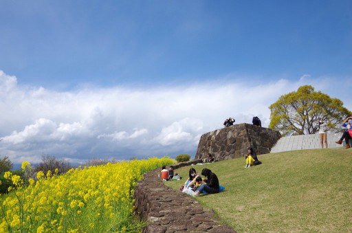 吾妻山公園