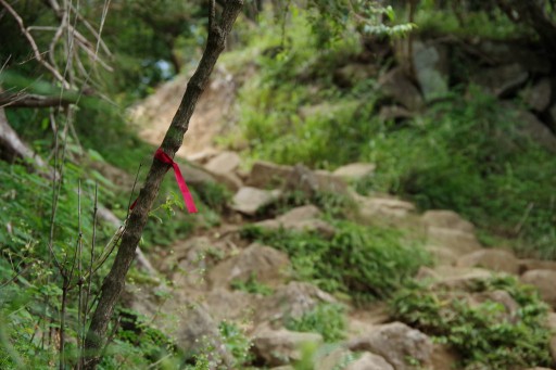 大山登山道－ルート目印