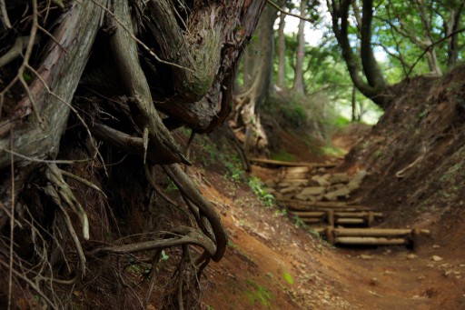 大山登山道