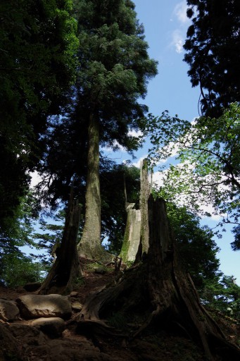 大山登山道