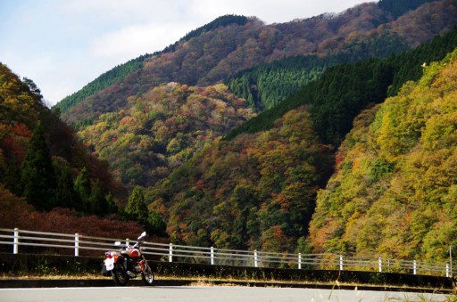 エストレヤと紅葉